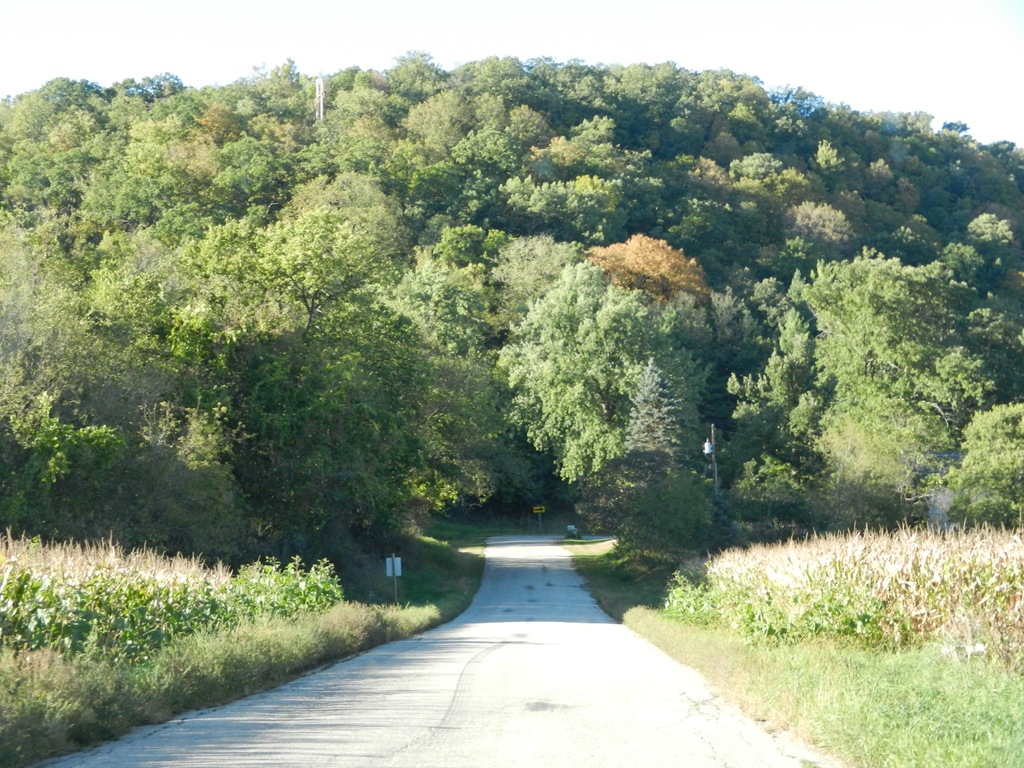 Vino in the Valley, Maiden Rock, WI